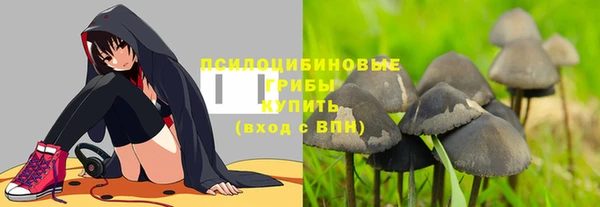 мяу мяу мука Беломорск