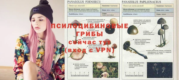 мяу мяу мука Беломорск