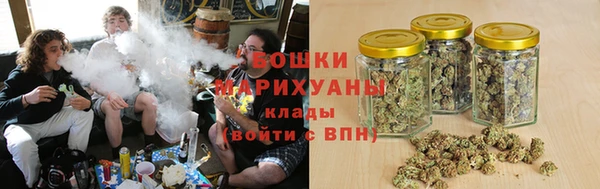 молекула духа Белокуриха