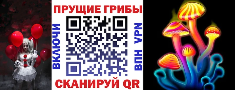 kraken как зайти  Севск  нарко площадка формула  Галлюциногенные грибы MAGIC MUSHROOMS 